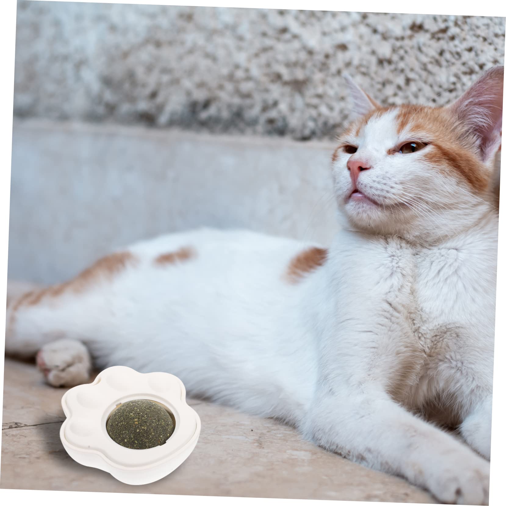 FRCOLOR 6sätze Katzenminze Spielzeug Pack Lickable Catnip Für Indoor Katzen Selbstbeschäftigungsspielzeug Drehbar Mit Starkem Haftvermögen Grünes Blaues Design