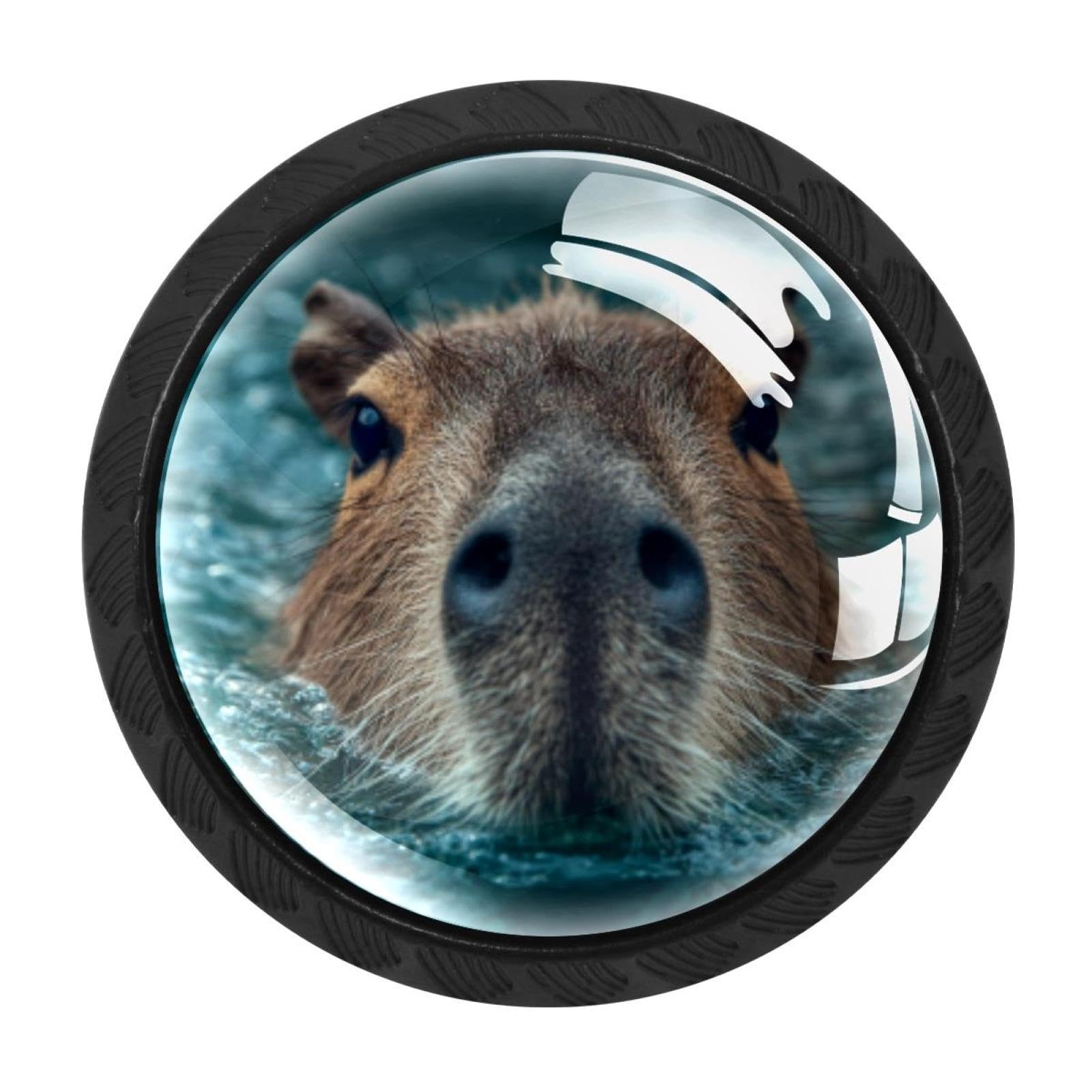 CHENZZZZ 4 pcs Funny Capybara Swimming (2) Cabinet Knobs Crystal Drawer Pulls for Kitchen, Bathroom Cabinet, Dresser and Cupboard