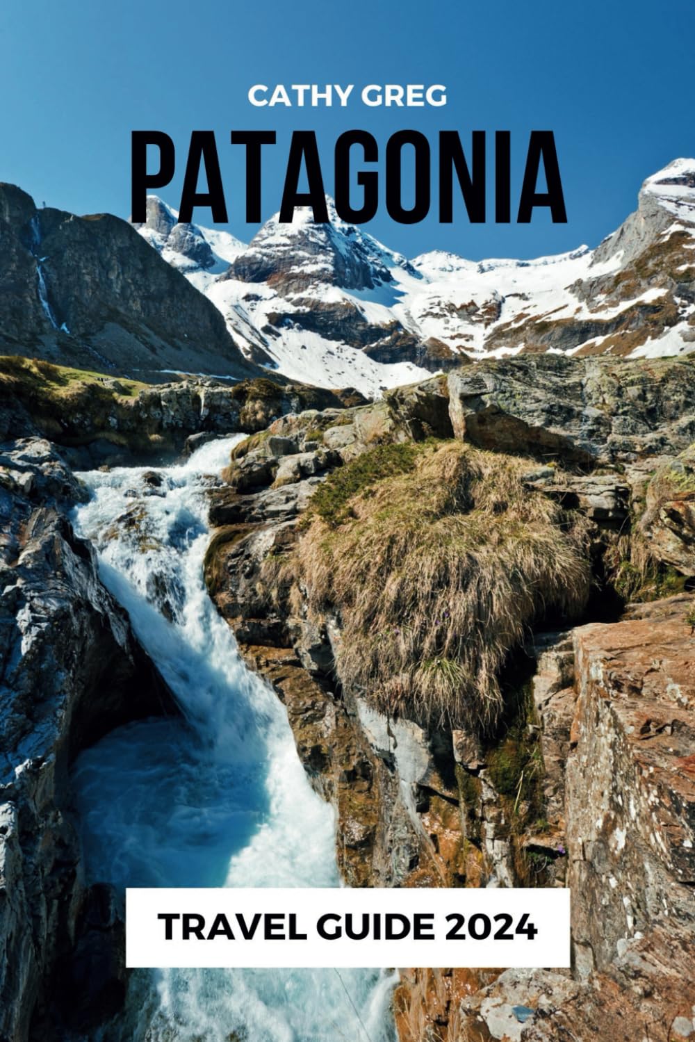 PATAGONIA TRAVEL GUIDE 2024: The updated guide to history and culture, places to visit, top sight, beaches, lodging options, and hidden gems