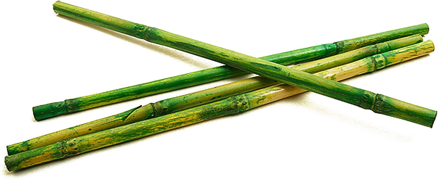 Hobi – Bamboo Sticks for Crafts