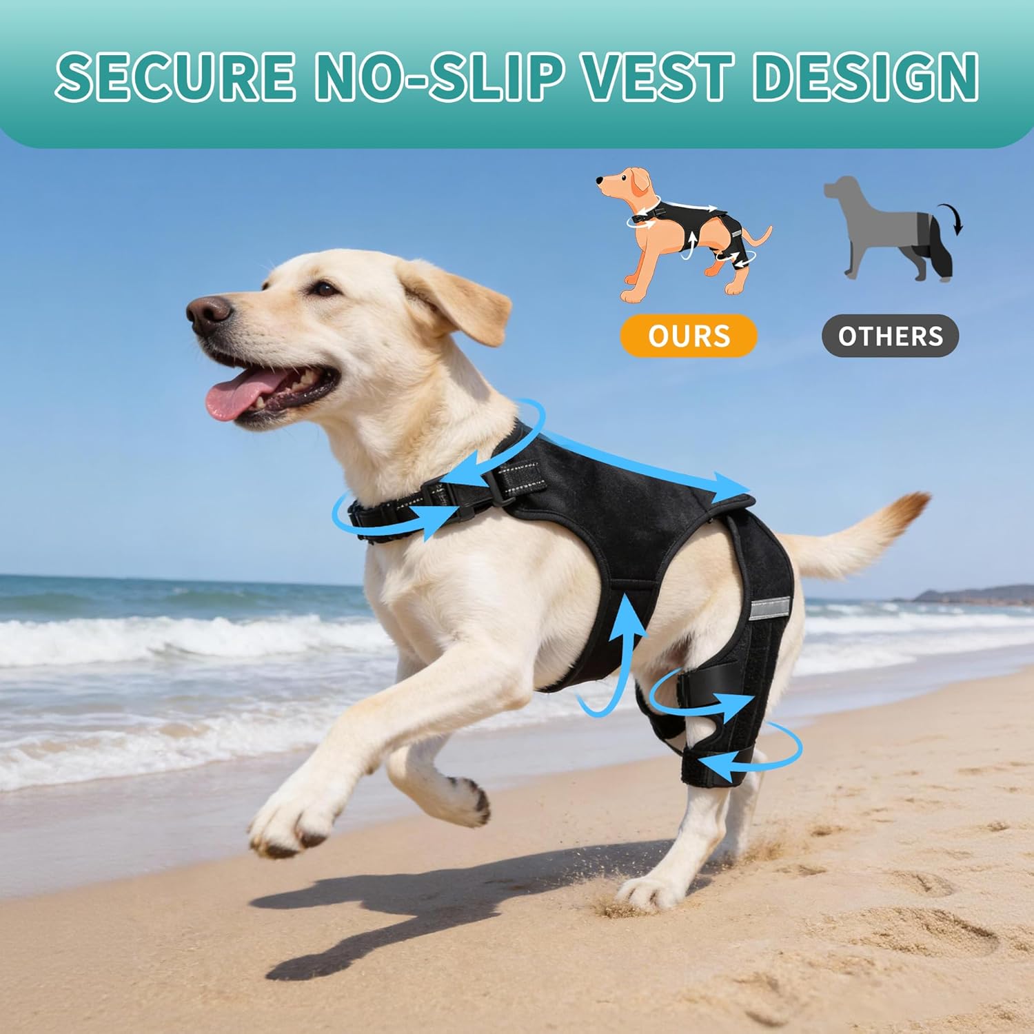 Dog Knee Braces for Torn ACL Hind Leg, Adjustable Dog Leg Braces for Back Leg with 4 Stabilizers for Luxating Patella Relieves Ligament Injury and Joint Pain