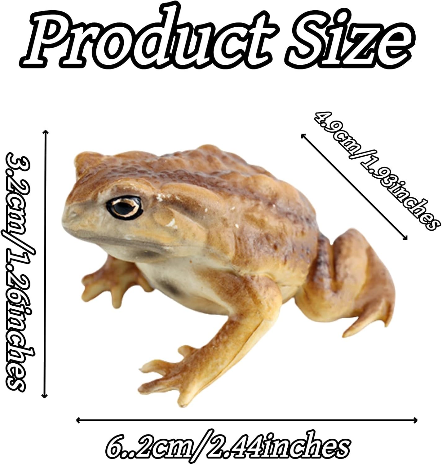 1 Piece Realistic Frog and Toad Figurine Lifelike Brown Amphibian Replica Educational Science Toy for Nature Displays