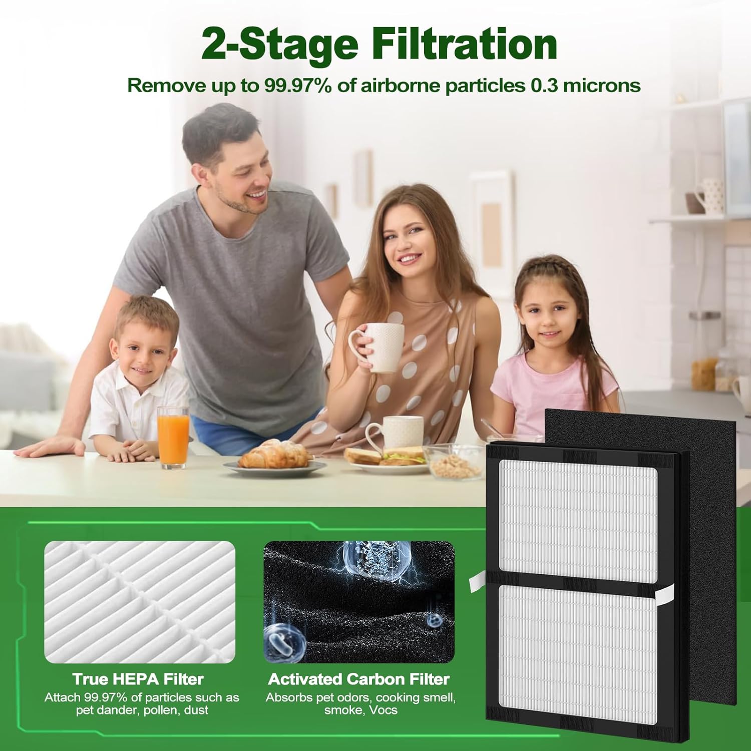 IAF-H-100D Replacement Filters, Compatible with IAF-H-100D, Filtrete FAP-C01-D, IAP-10-175, IAPC-40-160 Air Purifiers (2 HEPA + 4 Carbon Pre-filter)