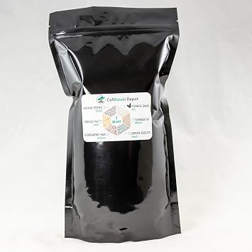 1 Quart Coarse Sand for Succulent, Bonsai Tree & Carnivorous Plant Soil Mix