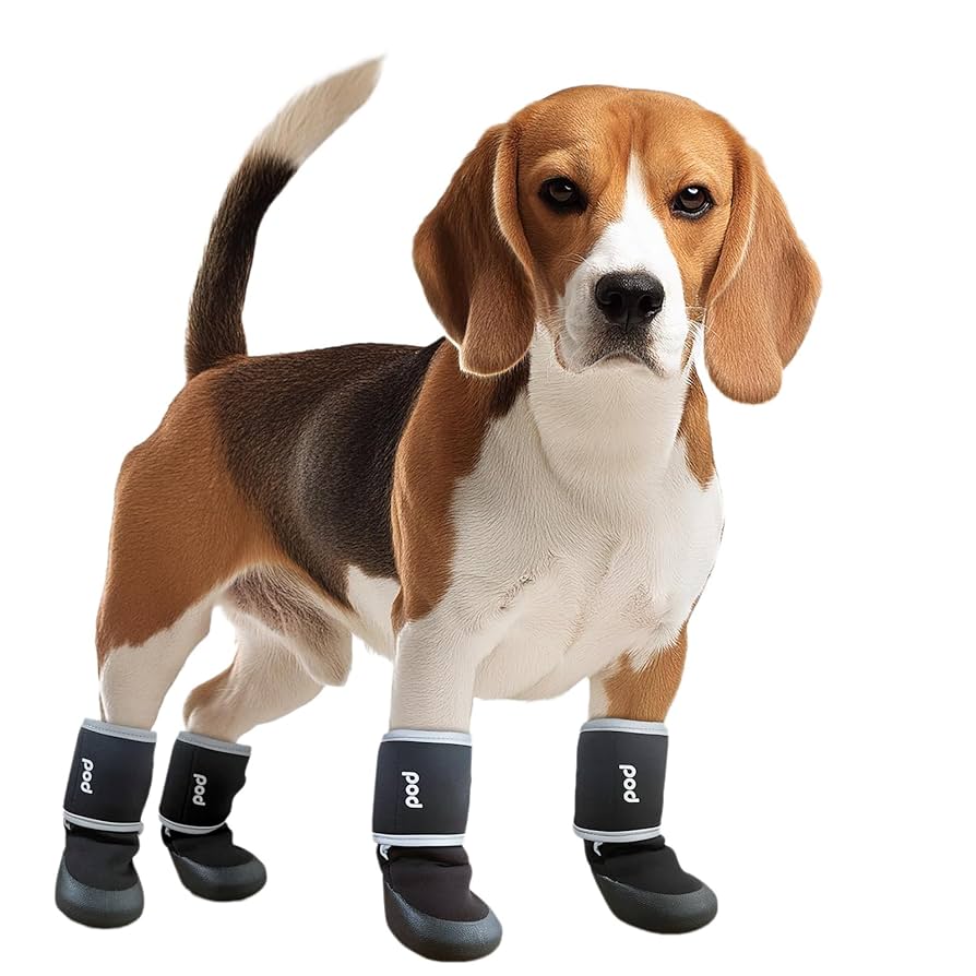 ペットシューズM Amazon | 犬 靴 ドッグブーツ 犬 お散歩シューズ 防水 ペットの