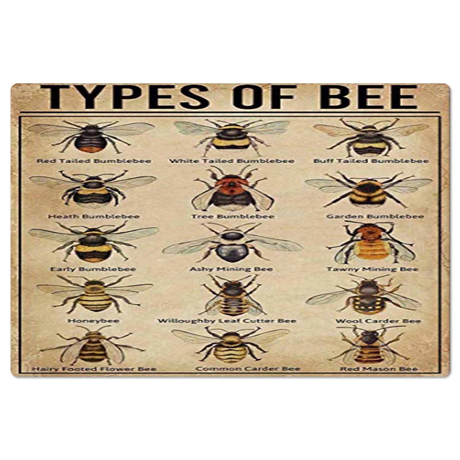 Kwqdozf Typesofbee Types Of Bee Metal Sign Vintage Farm Decor Bee Science Knowledge Tin Poster Club School Home Frameless Plaque Wall Decoration 12X18 Inches
