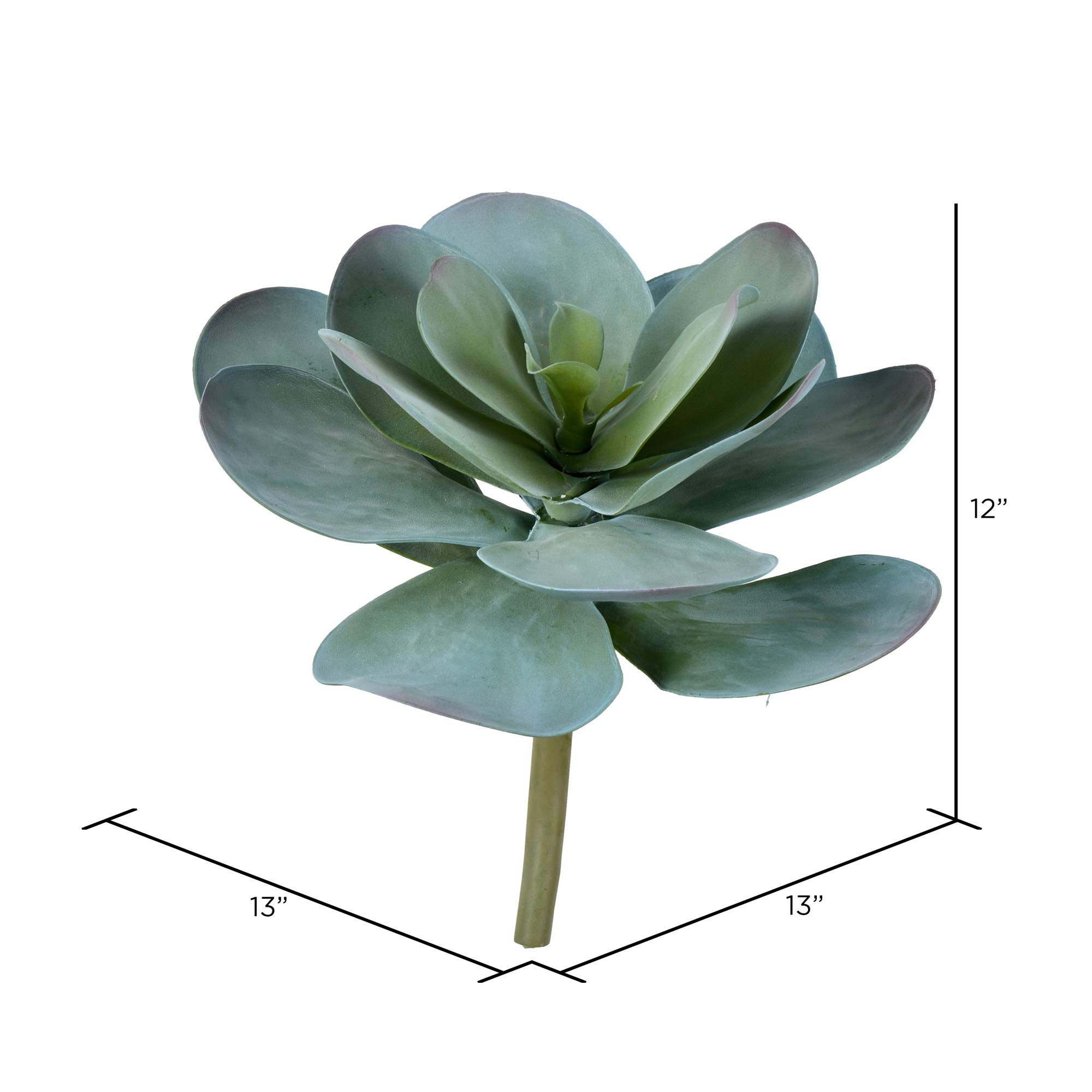 Amazon｜Vickerman Everyday 12インチ 青 多肉植物 茎 人工屋内観葉 