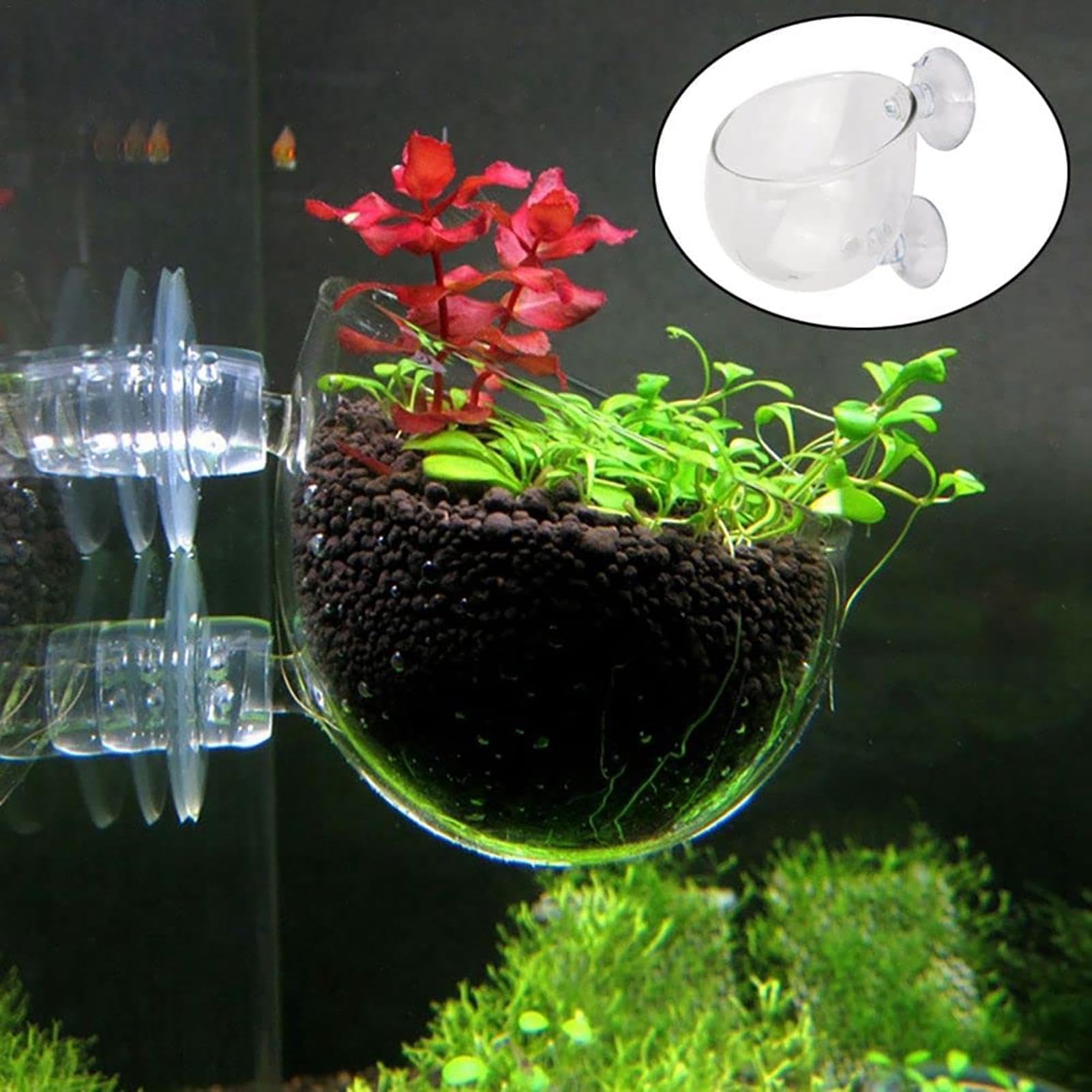 Cestino Portapiante In Acrilico Per Acquario – Vasetto Trasparente Per Piante Acquatiche E Vivarium