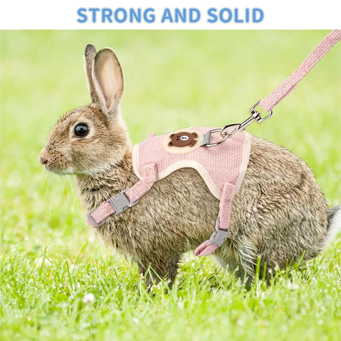 Set de 2 laisses pour Lapin - Harnais réglable pour Lapin avec Laisse - Accessoires Souples pour Chats, Petits Chiens et Autres Animaux de Compagnie - Bleu et Rose