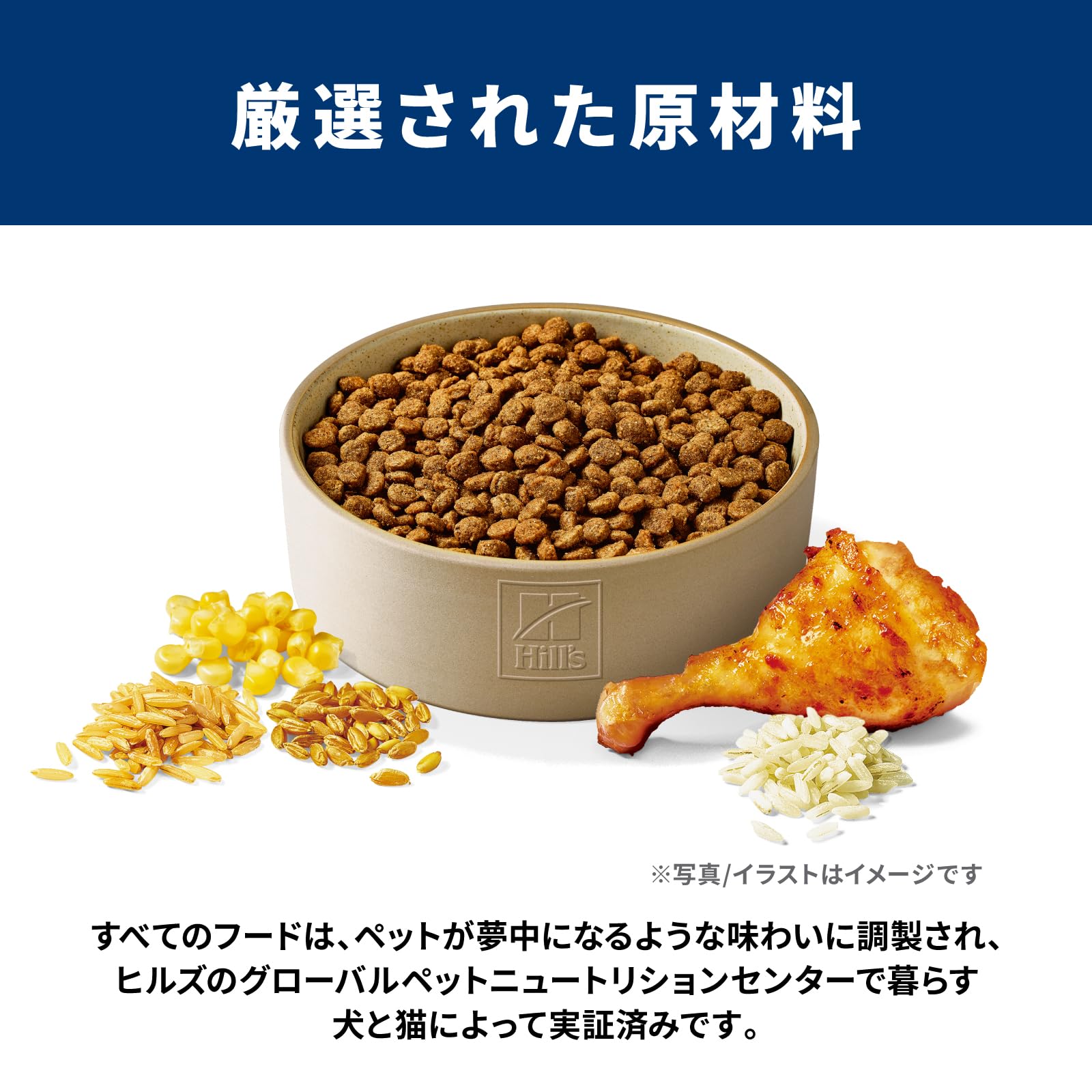 サイエンスダイエット ドッグフード シニアプラス 小粒 高齢犬