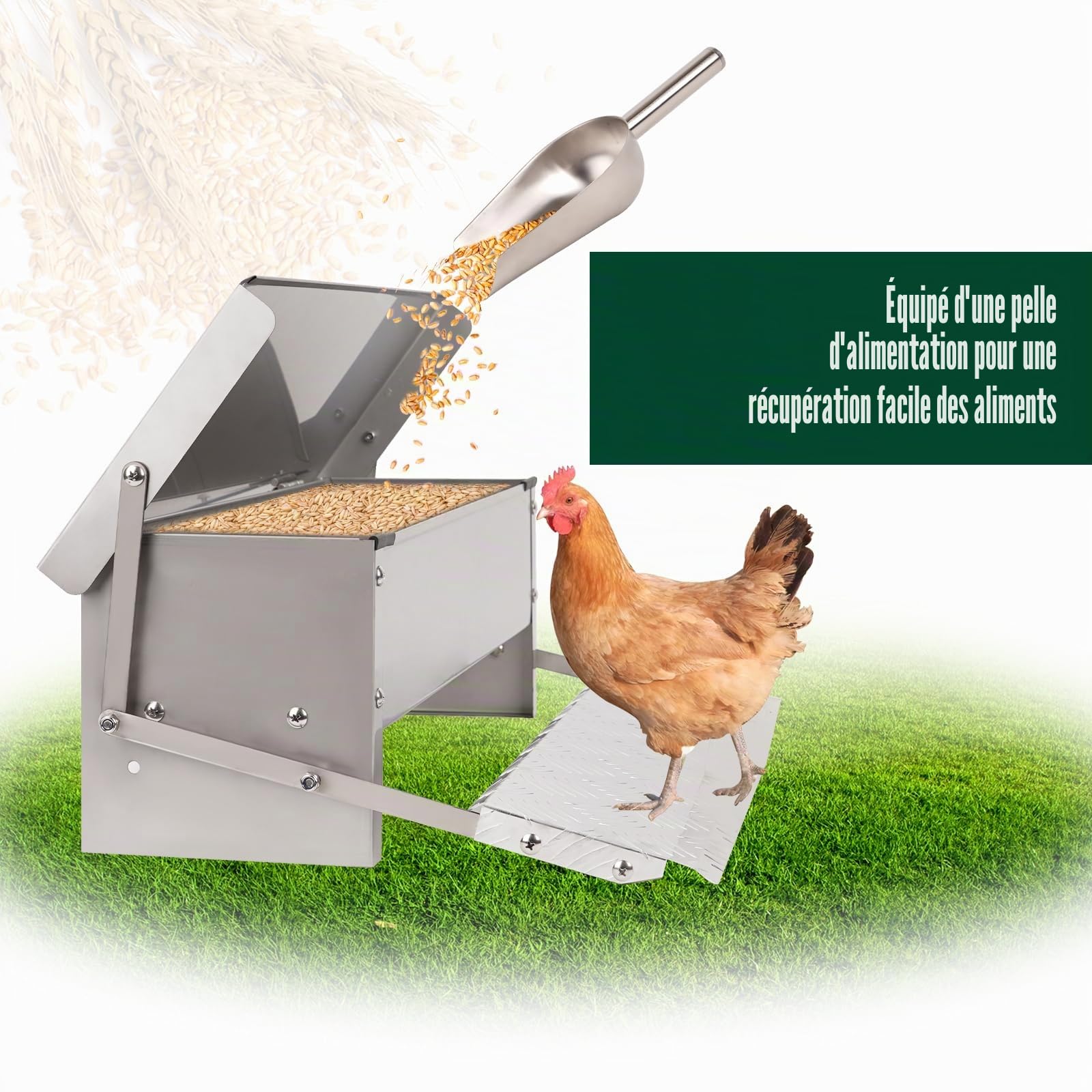 Mangeoire Automatique à Pédale 5kg en Métal pour Volailles, Distributeur de Nourriture avec Couvercle et Cuillère Métallique, Mangeoire Extérieure pour Poulets, Canards, Poulaille