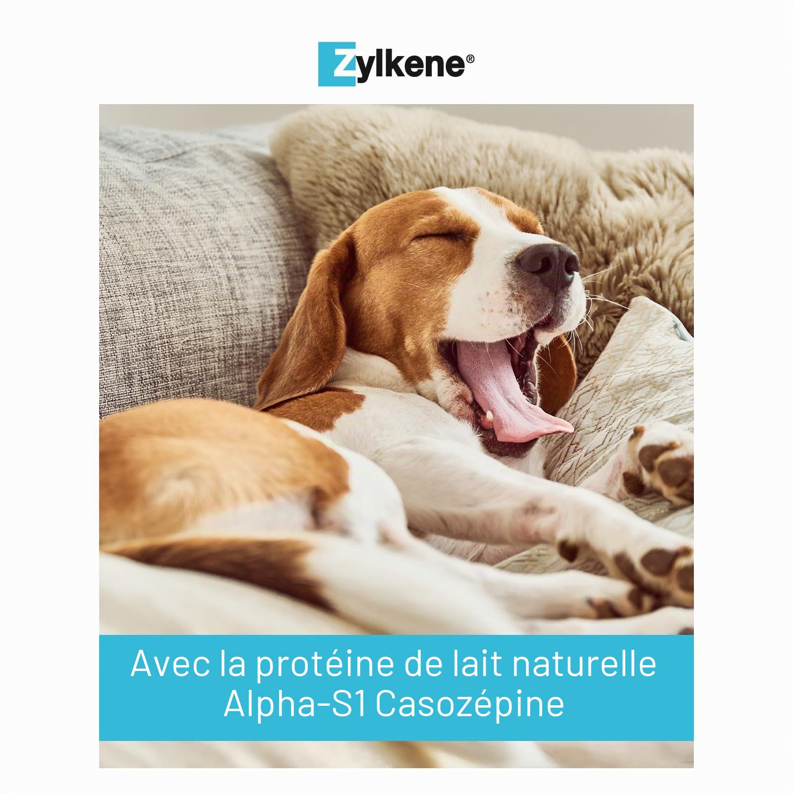 Vetoquinol Zylkene - Aliment Complémentaire Apaisant Ponctuel - Chiens Moyens de 10-30kg - Effet Calmant - Ingrédient d'origine Naturelle - 100 Gélules