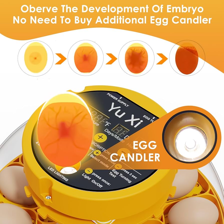 【YuXi】卵インキュベーター 16個 孵化卵用 アプリトラッキング 温度&湿度 Amazon.co.jp: YuXi 卵インキュベーター 16個 孵化卵用 アプリ
