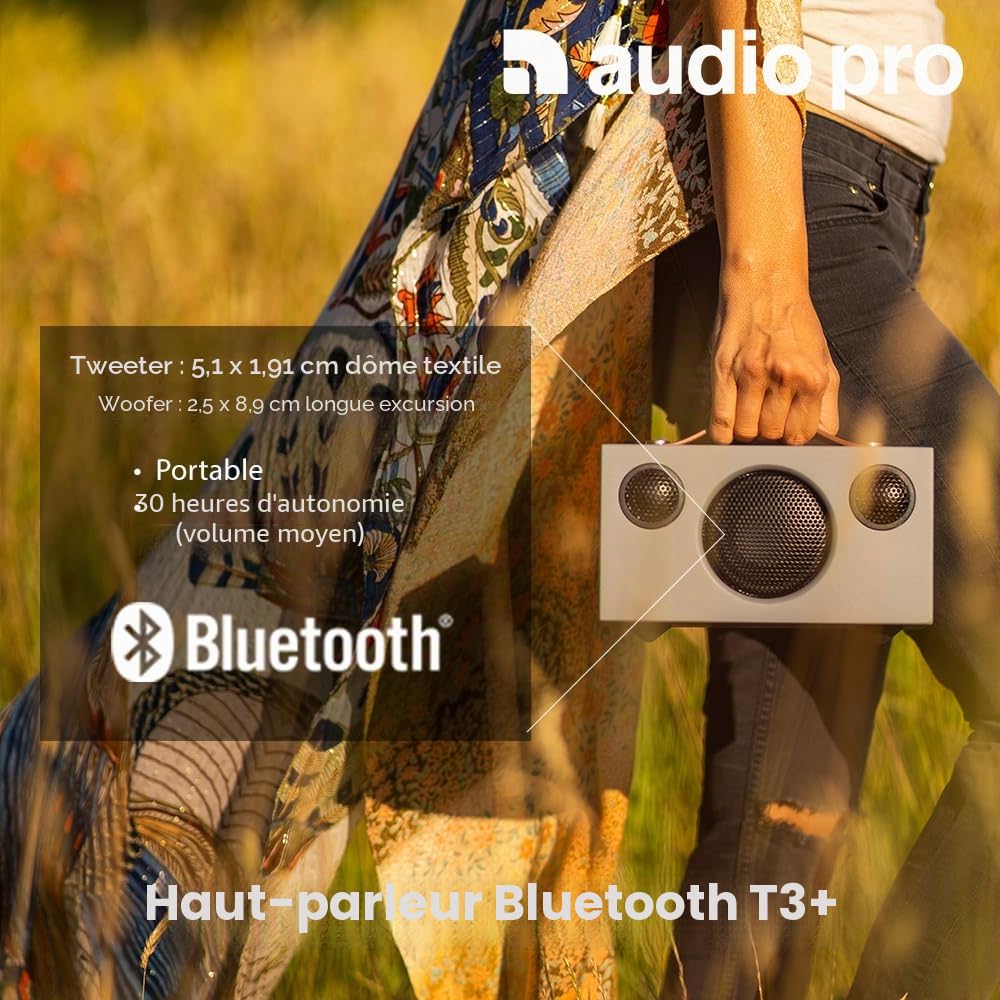 Audio Pro Addon T3+ Grey - Enceinte Portable avec Caisson Bass-Reflex, Bluetooth - sans Fil avec Sortie USB & Simplificateur Numérique – Autonomie 30h
