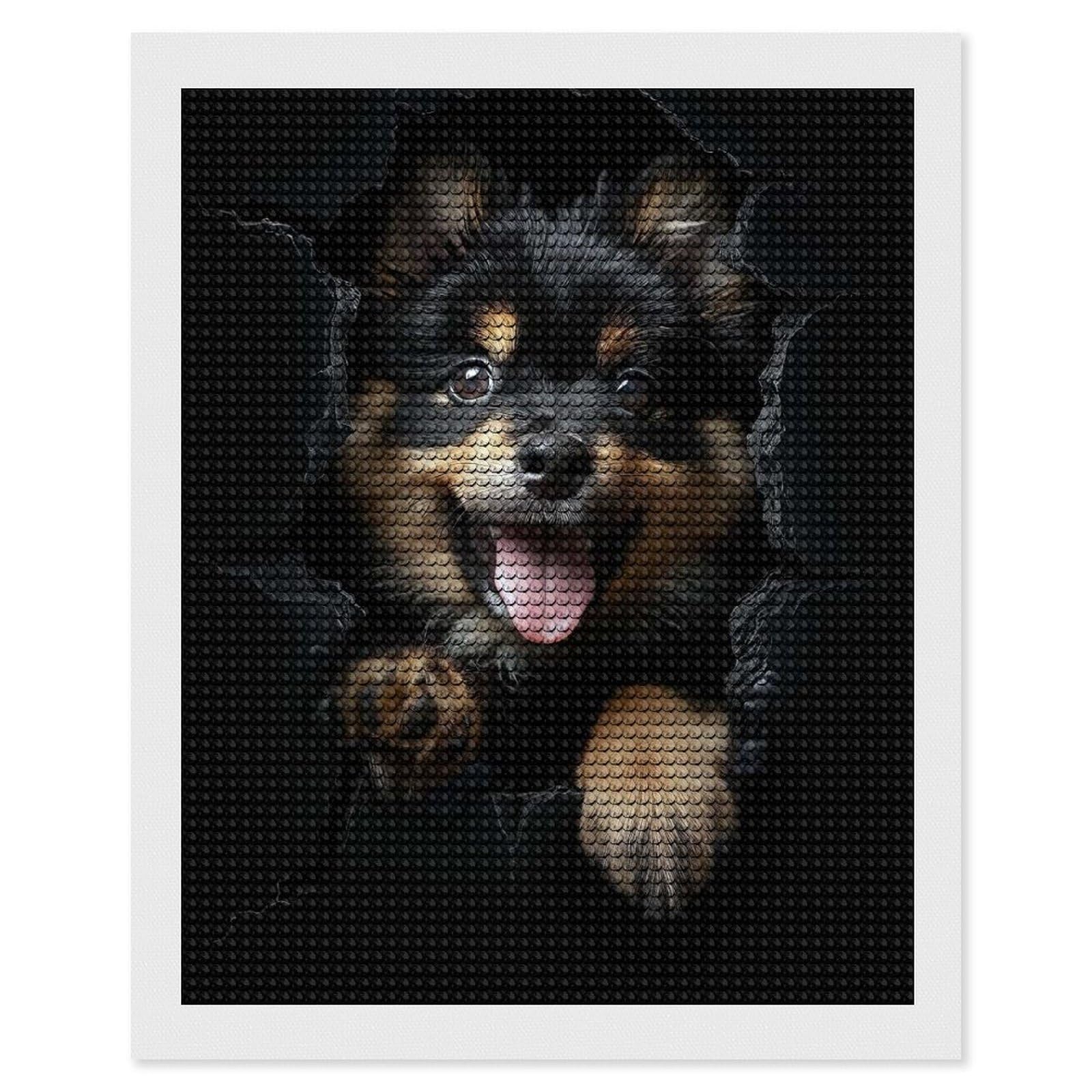 Junmoney Finnish Lapphund 5D Diamond Painting Kit 16"x20", Relaxing DIY, Mindful Craft Project, Full Kit Included, Thoughtful Present
