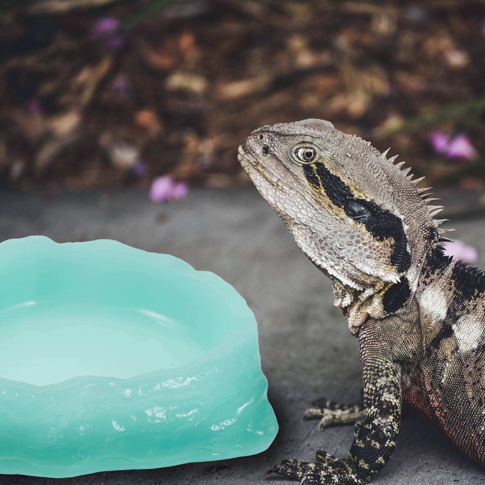 Abaodam Plato De Alimentación para Reptiles Luminiscente Comedero De para Tortugas y De Limpiar y Antideslizante para Pequeñas