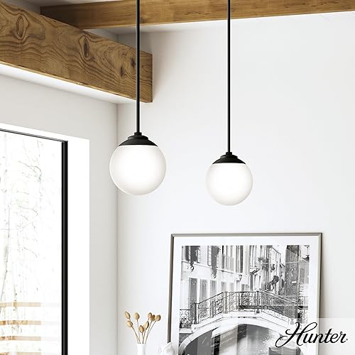 Miniatura 6 de Hunter Fan Company 19169 Hepburn - Lámpara colgante (níquel cepillado)