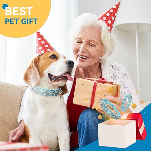 Miniatura 5 de PETCARE Collar de Perro con Pinchos Azul de Cuero PU Suave con Hongos Divertidos Remaches Tachuelas Collar de Cachorro Ajustable para Exteriores