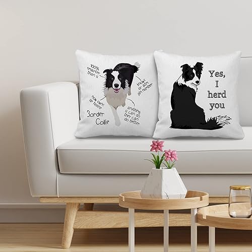 Miniatura 3 de Border Collie - Juego de 2 fundas de almohada de 18 x 18 pulgadas, decoración de perro Border Collie para el hogar, dormitorio, sala de estar,