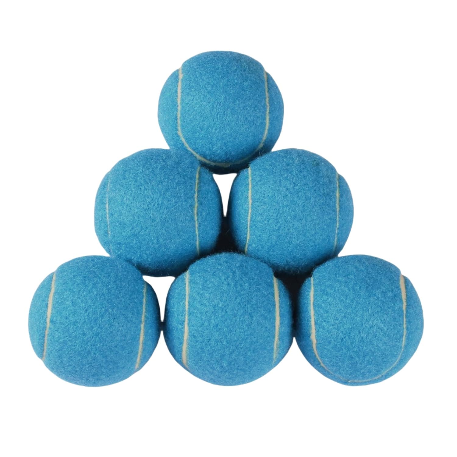 Easnea 6 PCS Training Tennis Balls, High Elasticity Practice Tennis for Beginner, Exercise Playing Balls Felt Training Toys for Pet Dog (Light Blue)
