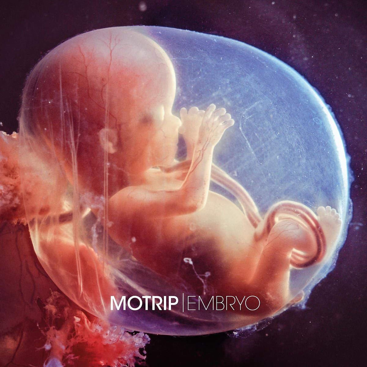 Embryo inkl. Download-Code)