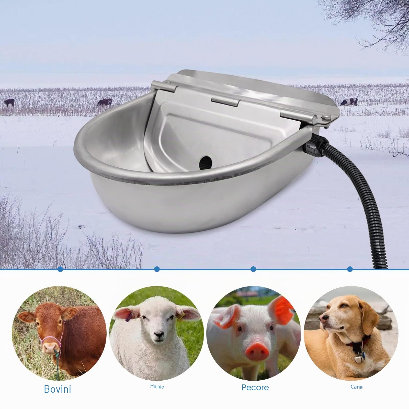 Abbeveratoio riscaldato da 220 V, con tappo di scarico in acciaio inox, termosifone automatico, antigelo, per cavalli, bovini, pecore, capre, cani, abbeveratoio (220 V)