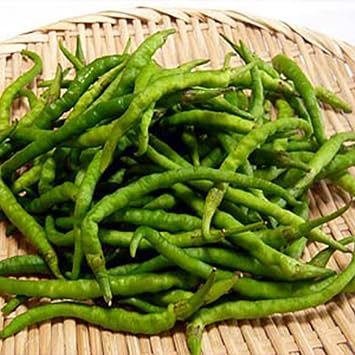 Pepper Seeds - Sweet - Himo Togarashi - 500 Mg Packet 50 Seeds - Non-GMO, Heirloom - Asian Garden Vegetable