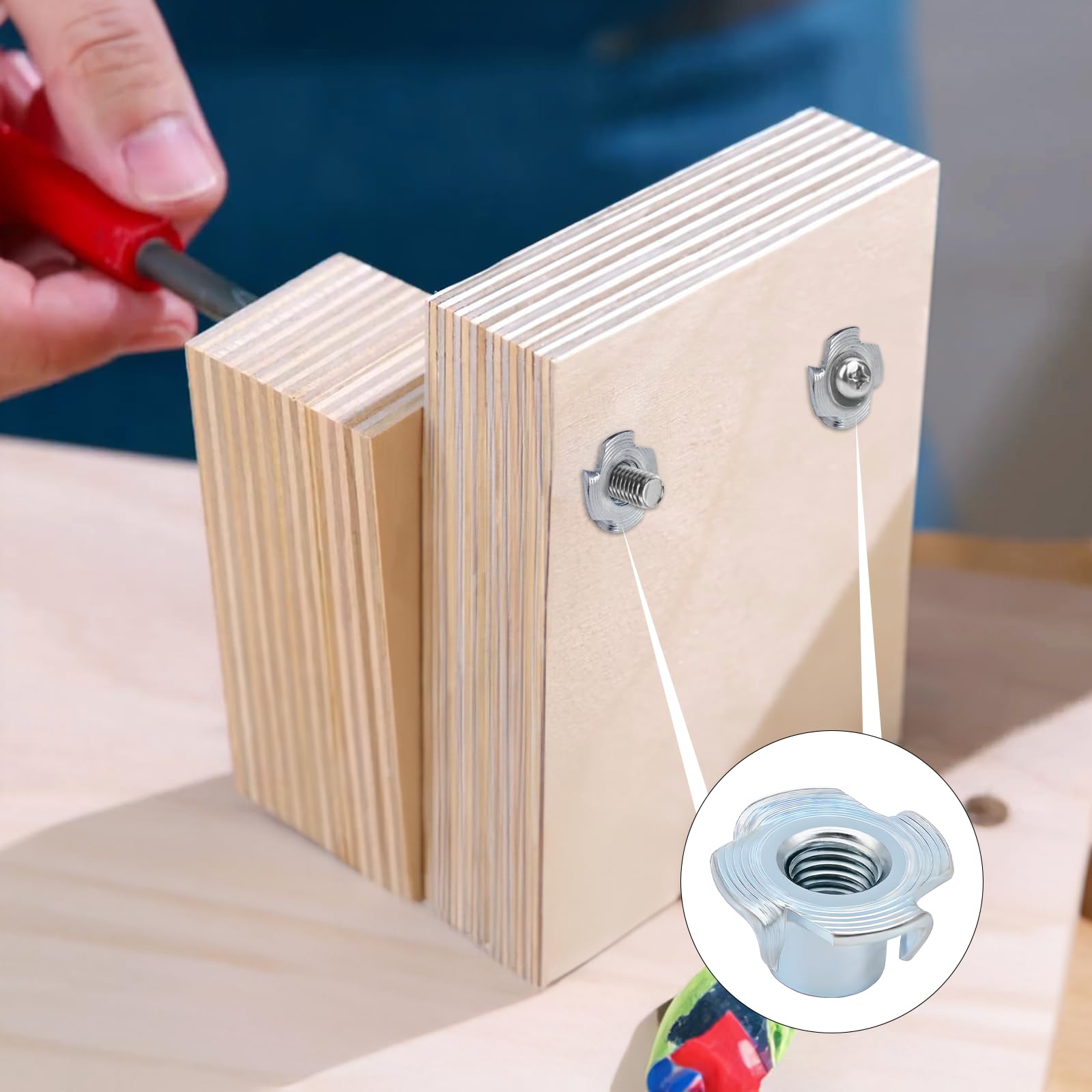 60 dadi a innesto M3 x 6 mm, in acciaio al carbonio zincato con 4 punte, per legno, tavole, mobili, artigiani, costruzioni, pareti da arrampicata, kit di viti, fai da te