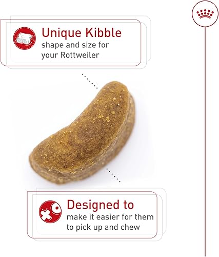 Miniatura 4 de Royal Canin Rottweiler - Alimento seco específico para perros de raza adulta, bolsa de 30 libras