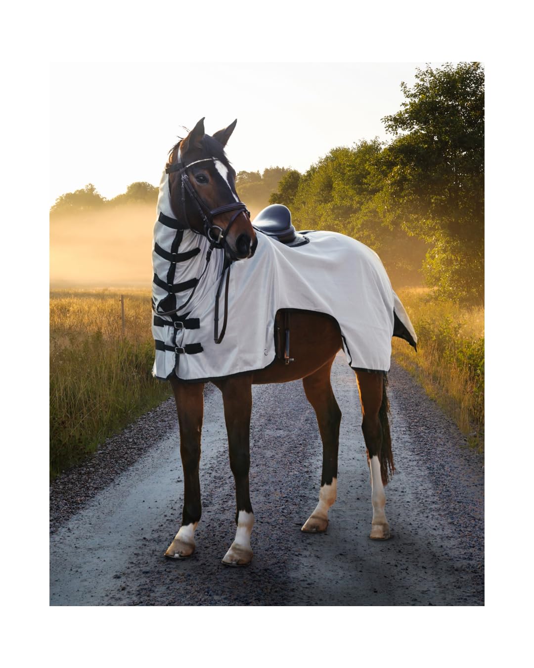 4Horses Fliegen-Ausreitdecke Lagos, atmungsaktive Ausreitdecke mit Insektenschutz, stabilem Mesh und aufrollbarem Halsteil