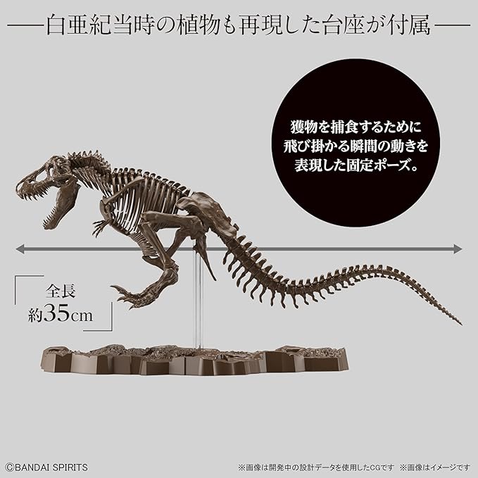 Bandai Hobby - Esqueleto Imaginario 1/32 Tyrannosaurus Kit Modelo miniatura 5