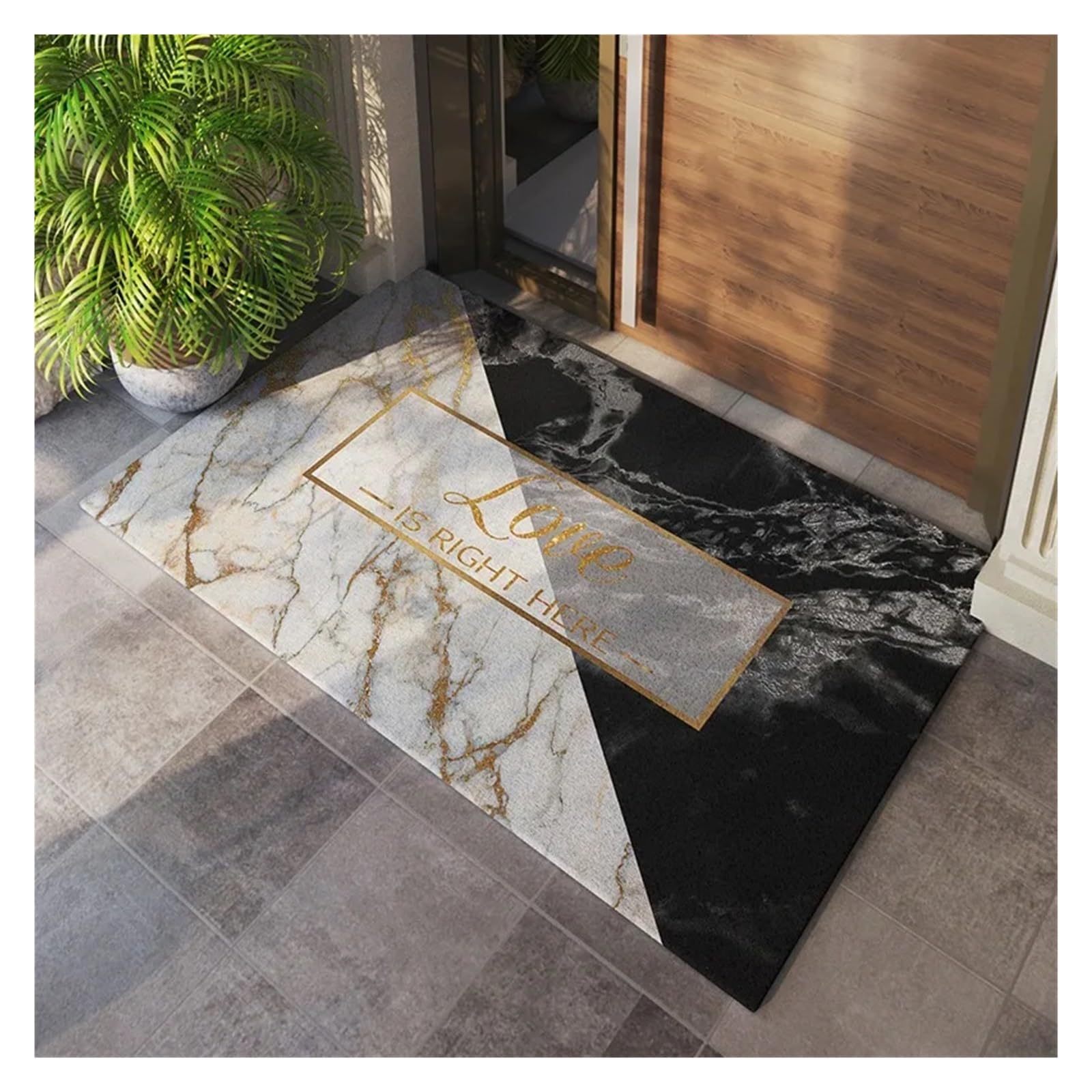 Tapis d'entrée intérieur lavable 40x60 cm pour salon et entrée maison