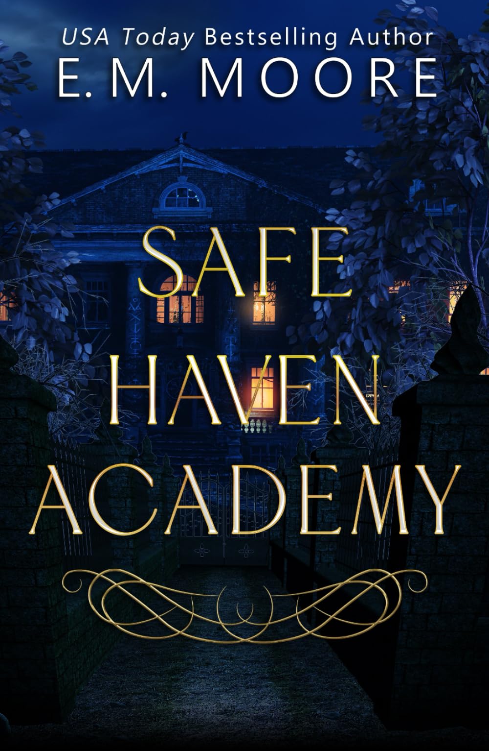 Safe Haven Academy: A Contemporary Reverse Harem Series