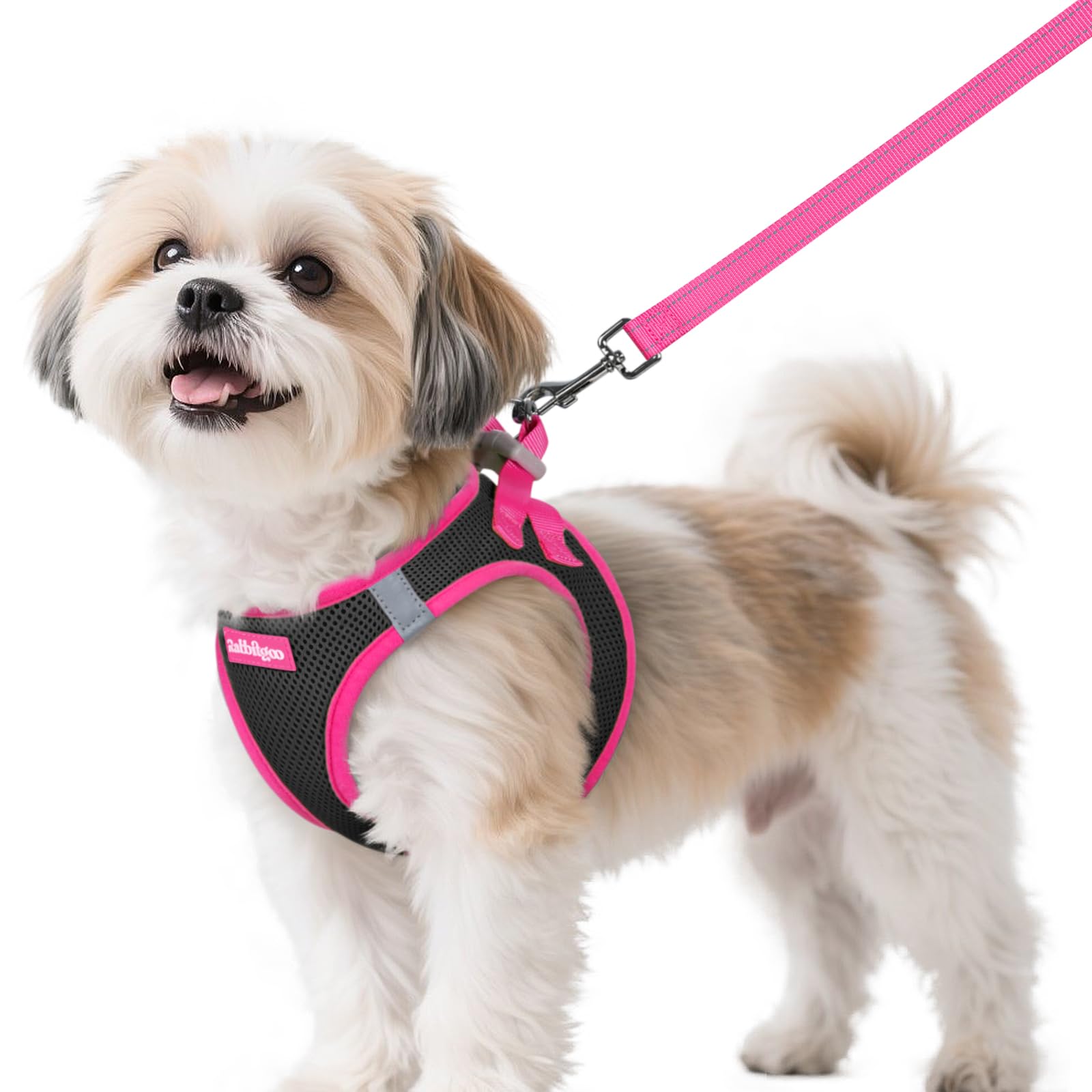 Rabbitgoo Dog Harness and Leash Set Black Rose Red Small
