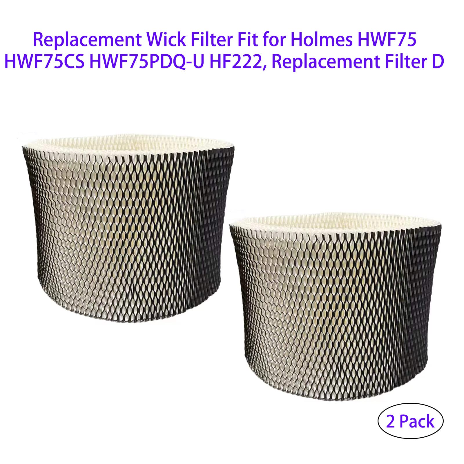 HWF75 - Filtro di ricambio per stoppino Holmes HWF75 HWF75CS HWF75PDQ-U HF222, sostituisce filtro D (confezione da 2)