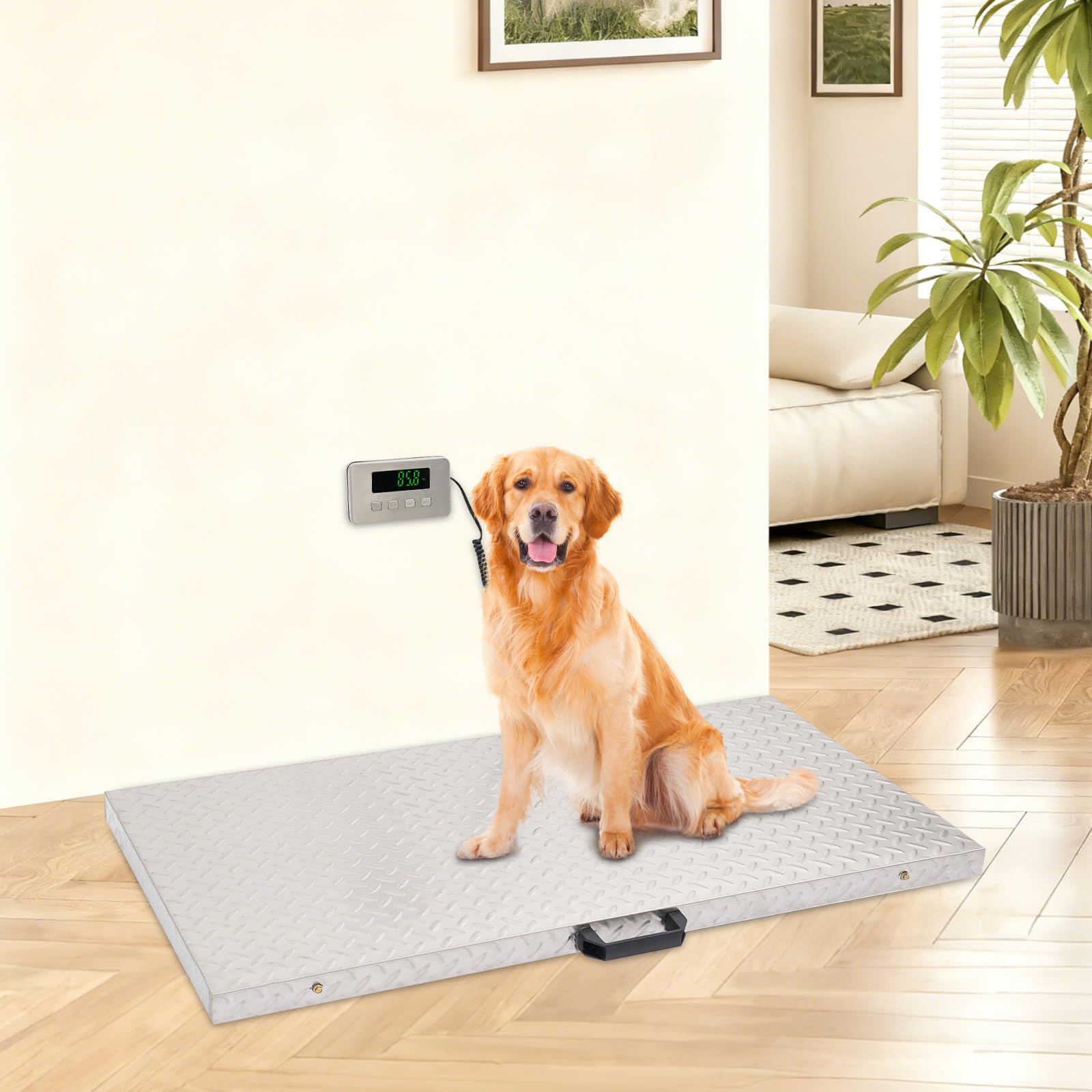 Waga dla zwierząt do 500 kg, cyfrowa waga precyzyjna 0,1 kg, ze stali nierdzewnej, antypoślizgowa, waga przemysłowa, wyświetlacz LCD, z adapterem sieciowym, dla psów, zwierząt gospodarskich, paczek