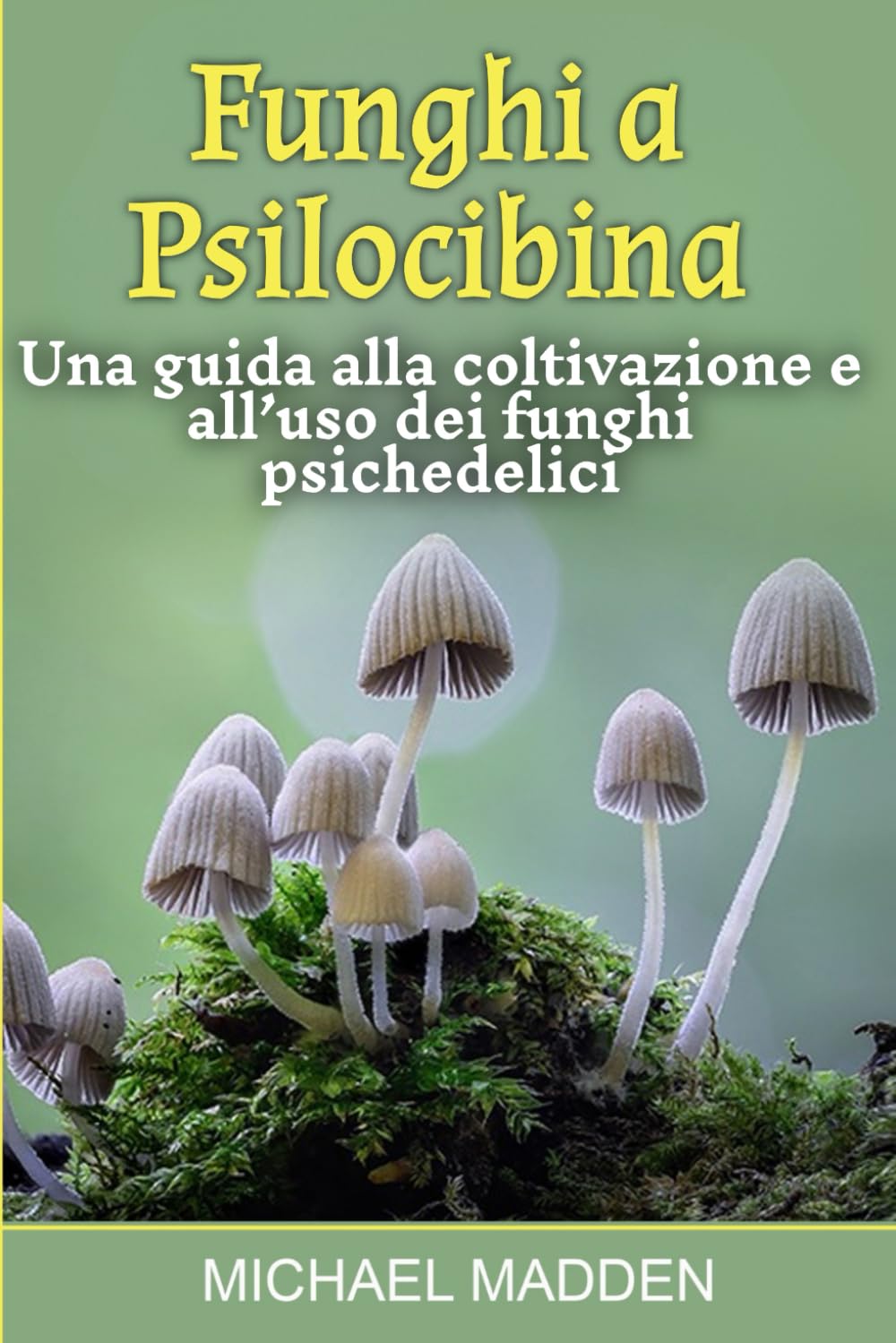Funghi a Psilocibina: Una guida alla coltivazione e all’uso dei funghi psichedelici