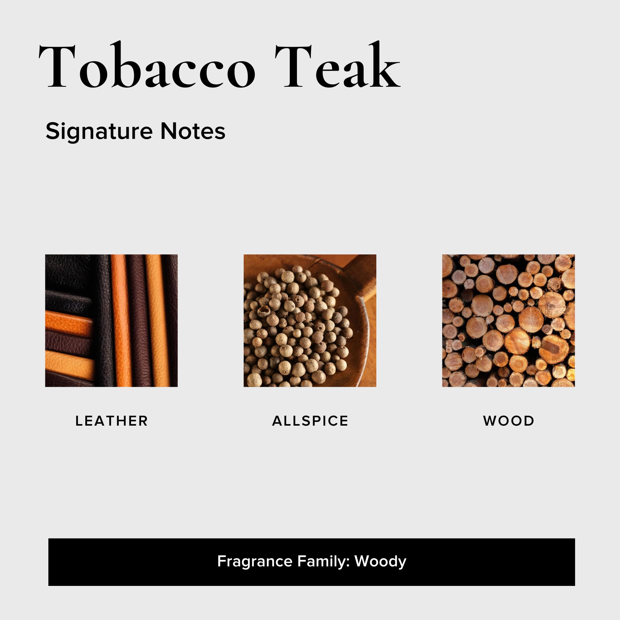 Geotanical - Ambientadores para coche, paquete variado de 6 (3 Black Coral Tide, 3 Tabaco Teca)