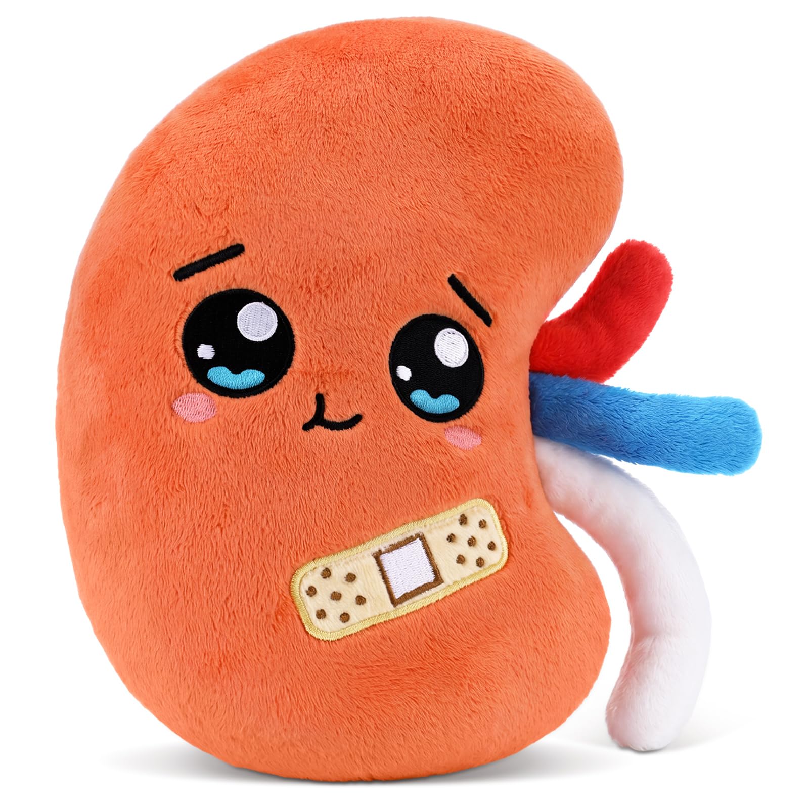 Gemscream Kidney Plush Toy Funny Urology Gift Transplant Dialysis Recovery Plush Toy Donor Appreciation Nephrology Gifts for Doctors Nurses and Adults