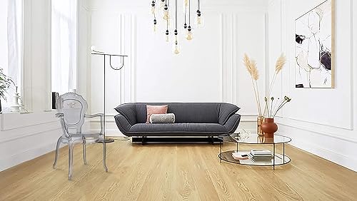 Miniatura 4 de 2xhome Silla de comedor apilable fantasma  Sillón de tocador transparente  Silla de cocina estilo Louis Belle para patio (1, ahumado, sillon)