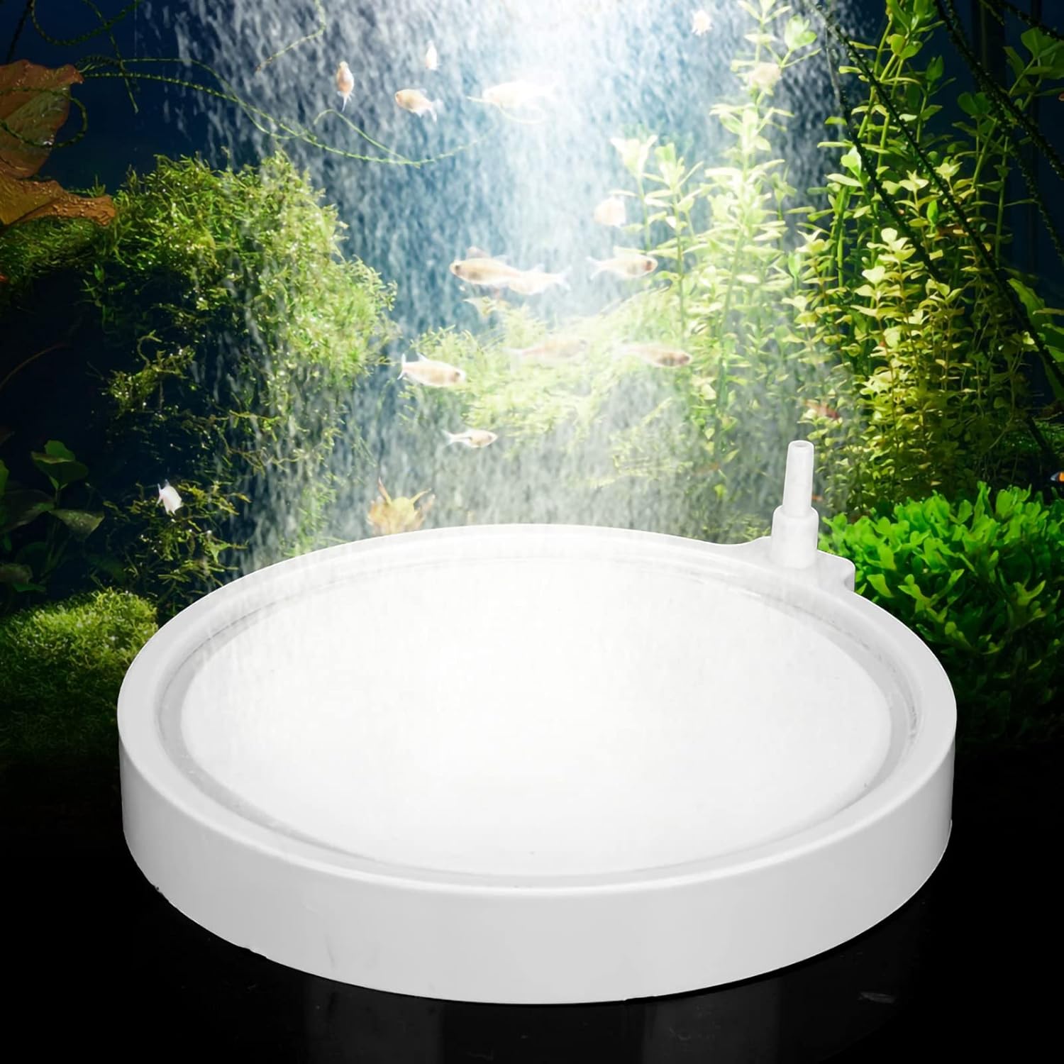 Aquarium Air Stone, Nano Bubble Disk with Gravel Material in 4 Sizes, White Oxygen Diffuser for Fish Tank Air Pumps and Oxygen Increasing Systems (N-150)