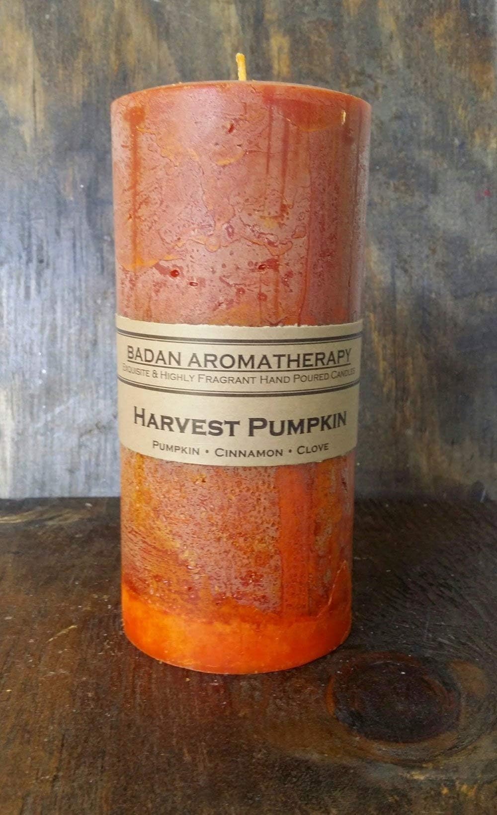 Harvest Pumpkin Pillar Candle Collection (3x6.5 Round, Rustic, Dark Orange)