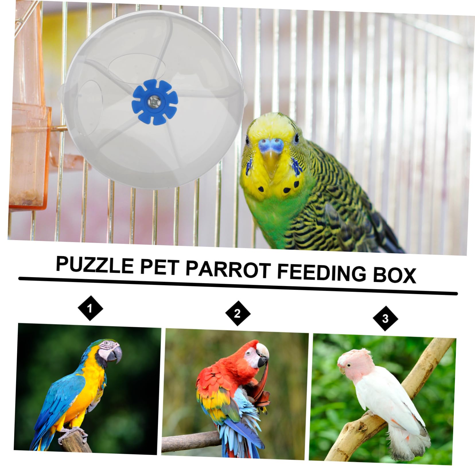 1PC Parrot Supplies Acrylic Foraging Ball Puzzle Pet Parrot Finding Food Box-Pet Supplies - image 8