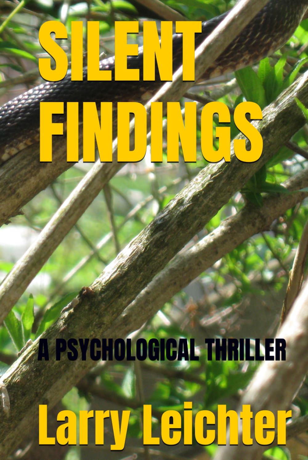SILENT FINDINGS: A PSYCHOLOGICAL THRILLER