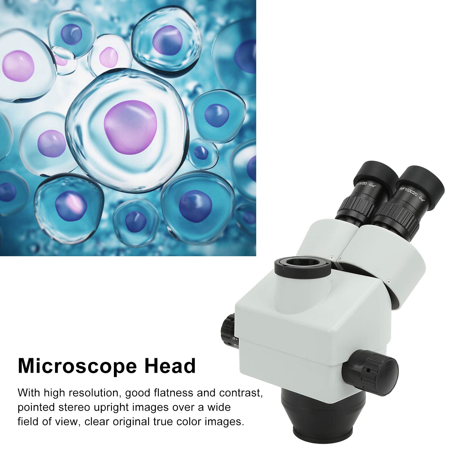 Garosa Cabezal de Microscopio Estéreo con Zoom Cabezal de Microscopio Trinocular de Vidrio Metálico de 3,5X a 45X con WF10X 20 Oculares Inclinación de 45 Grados Rotación de 360 ​​para Uso en