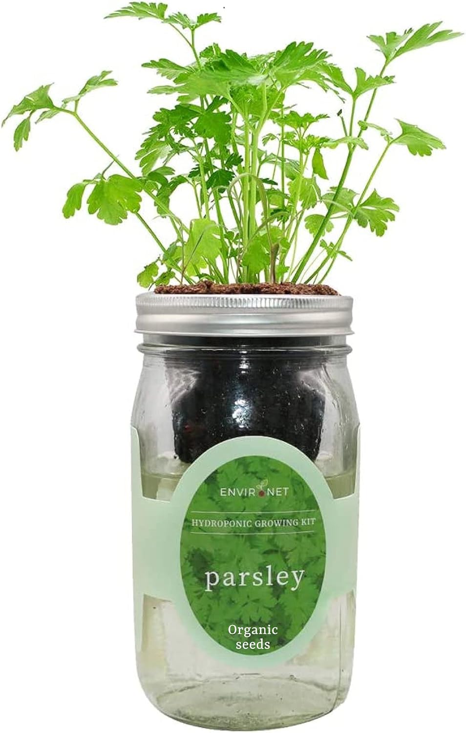 Hydroponic Herb Growing Kit, SelfWatering Mason