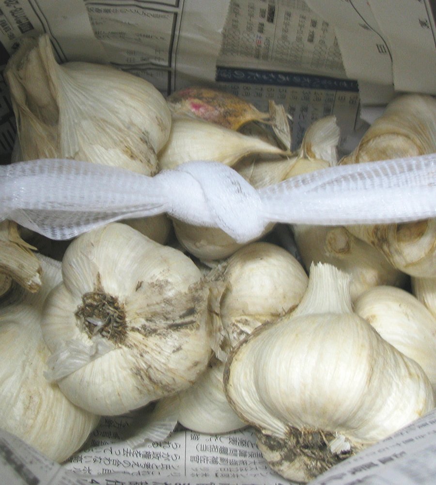 Amazon.co.jp: 青森期待の新人商店 青森 にんにく 訳あり 10kg 業務用