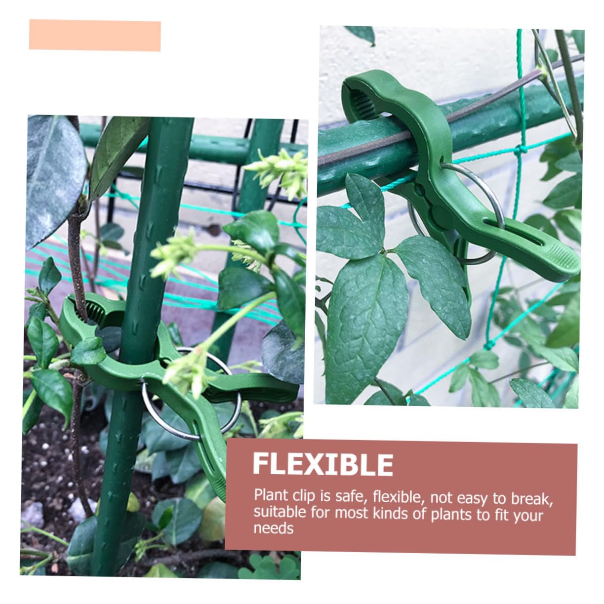 60 Pezzi Clip per Piante in Plastica Clip di Fissaggio per Vite per Pomodori Morsetto da Giardino Morsetto per Orchidee Forniture da Giardino