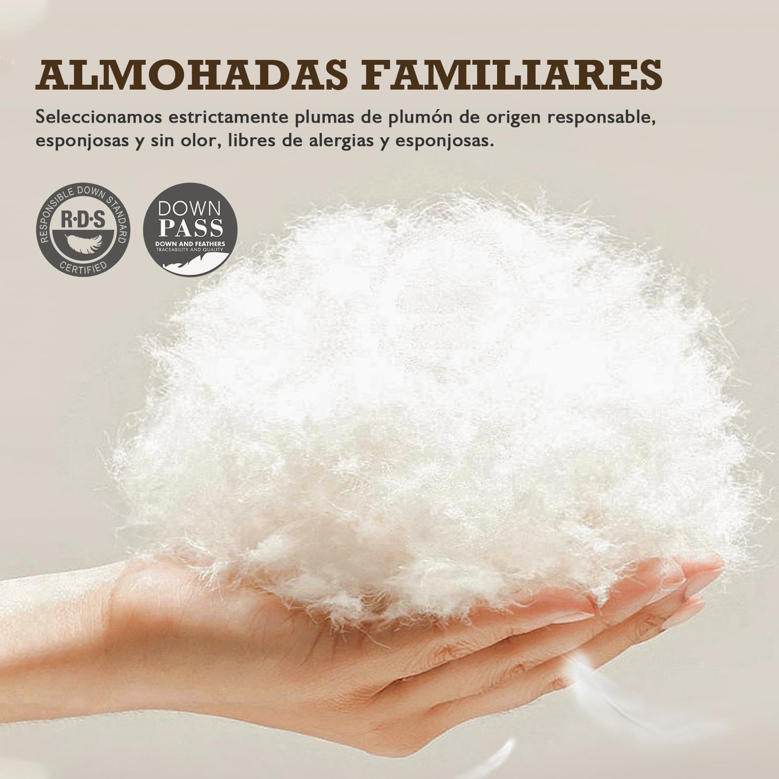 BPC Plumón de plumas orgánico almohadas 50x75 Pack de 2 Unidades, Lujosa almohada para dormir de hotel de 3 cámaras, Almohada 50x75 cm plumón con funda 100% algodón y relleno de pluma de ganso, Blanco