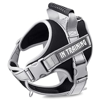 REHTRAD Dog Harness, Adjustable Dog Body Belt For Large Dogs With Copybook Dog Vest (XL, Black, Pack of 1)